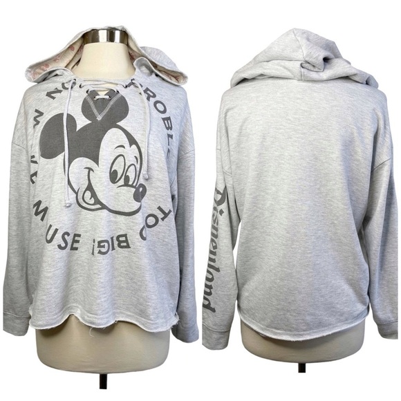 DISNEY PARKS No Problem’s Too Big Mickey Mouse Hoodie size L - Picture 1 of 10